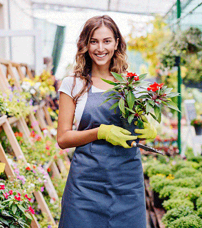 Lawn & Garden Month