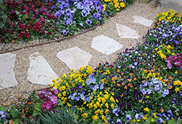 Garden Projects