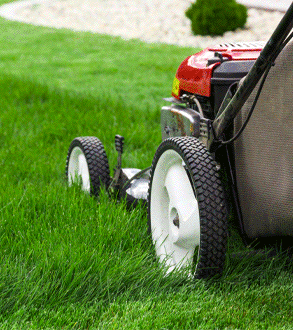 Summer Lawn