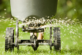 Prepping Your Lawn for Fall