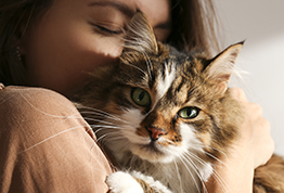 Pet Safe Holidays
