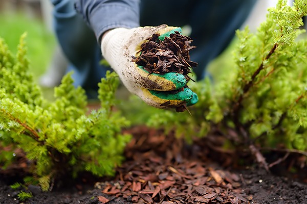 Fall is here and that means – it’s mulch season!